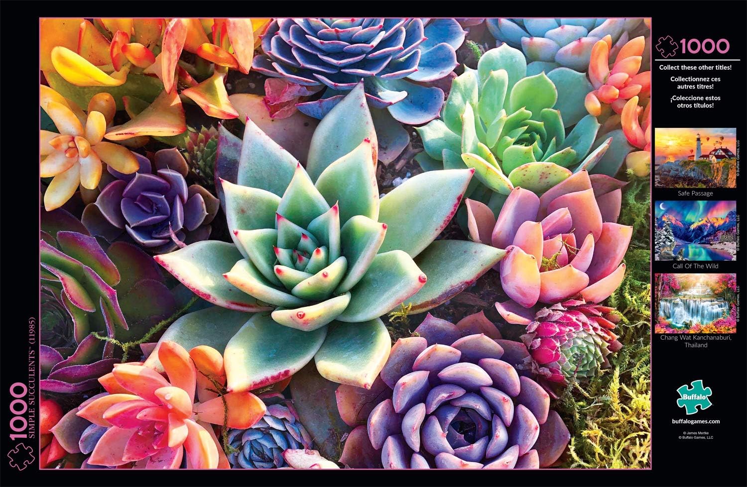 Buffalo Games - Simple Succulent - 1000 Piece Jigsaw Puzzle